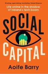 Social Capital: Life Online in the Shadow of Ireland's Tech Boom hind ja info | Majandusalased raamatud | kaup24.ee