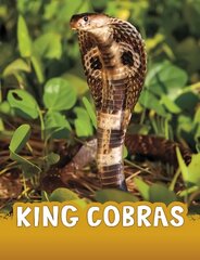 King Cobras hind ja info | Noortekirjandus | kaup24.ee