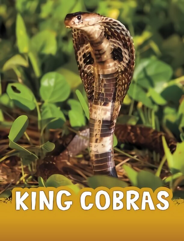 King Cobras цена и информация | Noortekirjandus | kaup24.ee