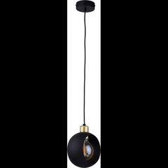TK Lighting подвесной светильник Cyklop цена и информация | Потолочный светильник, 38 x 38 x 24 см | kaup24.ee