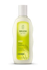 Weleda toitev šampoon hirsiga 190 ml hind ja info | Weleda Kosmeetika, parfüümid | kaup24.ee