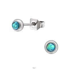Roostevabast terasest kõrvarõngad sünteetilise opaaliga A4S45413 hind ja info | Kõrvarõngad | kaup24.ee