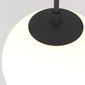 Maytoni Tehniline rippvalgusti Luna P039PL-5W4K-10-B Must-valge цена и информация | Rippvalgustid | kaup24.ee