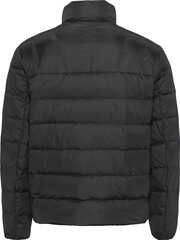 Мужская куртка Tommy Hilfiger 50845, черная цена и информация | Мужские куртки | kaup24.ee
