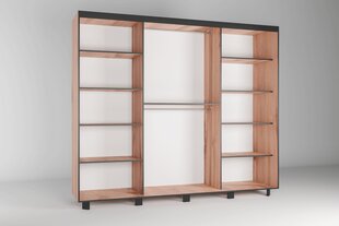 Riidekapp ADRK Furniture Bergamo, 250 cm, pruun hind ja info | Kapid | kaup24.ee