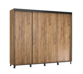 Riidekapp ADRK Furniture Bergamo, 250 cm, pruun hind ja info | Kapid | kaup24.ee
