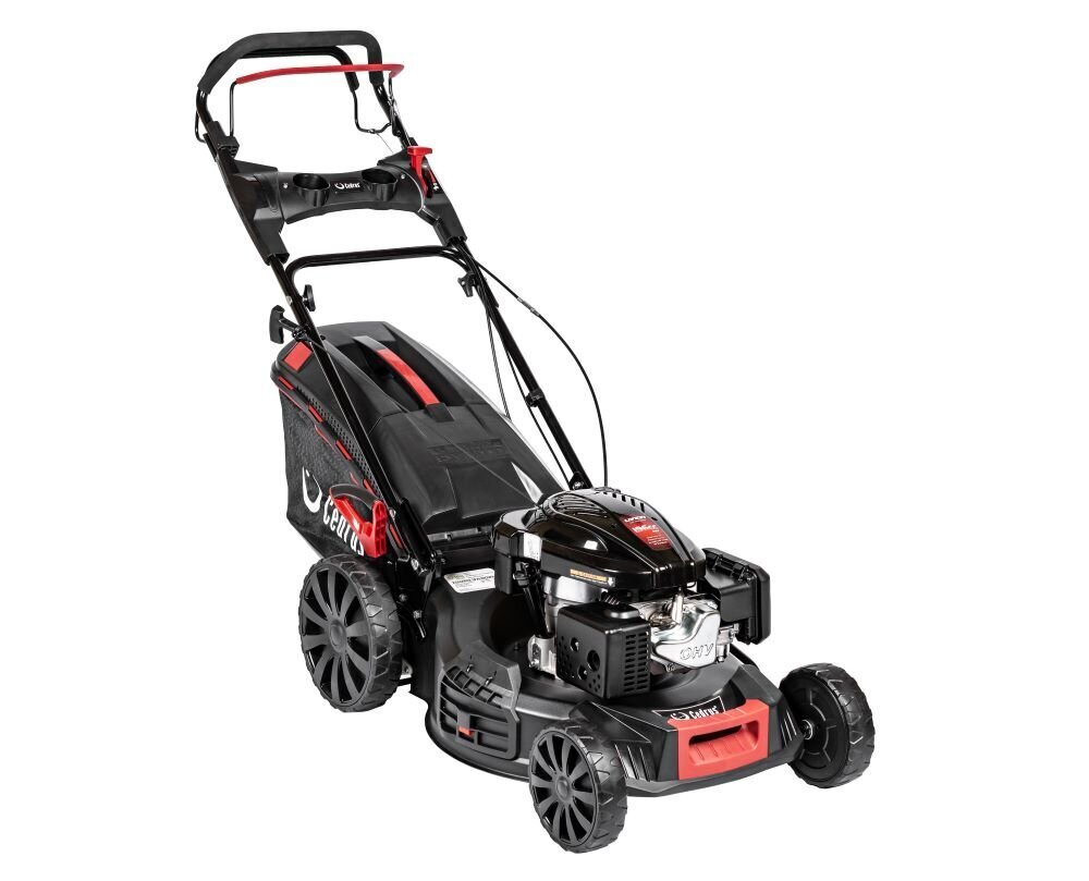 Bensiiniga iseliikuv muruniiduk Cedrus 53 cm Loncin 1P70FC 3in1 цена и информация | Muruniidukid | kaup24.ee