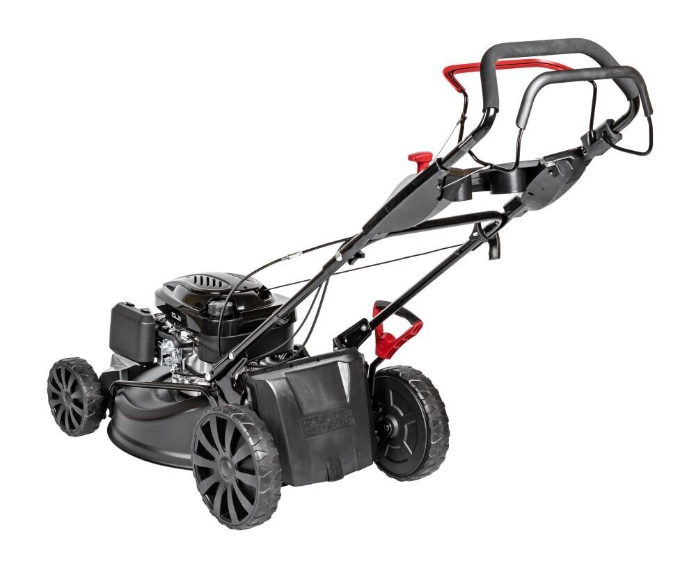 Bensiiniga iseliikuv muruniiduk Cedrus 53 cm Loncin 1P70FC 3in1 цена и информация | Muruniidukid | kaup24.ee