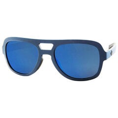 Мужские солнечные очки Adidas AOR011-021-009 цена и информация | Солнцезащитные очки для мужчин | kaup24.ee