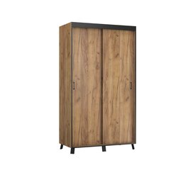 Riidekapp ADRK Furniture Bergamo, 120 cm, pruun hind ja info | Kapid | kaup24.ee