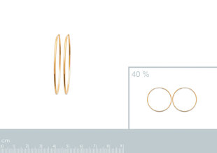 750° kullaga kaetud kõrvarõngad, ⌀ 50 mm, toodetud Prantsusmaal hind ja info | Kõrvarõngad | kaup24.ee