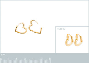 750° kullaga kaetud kõrvarõngad, ⌀ 13 mm, toodetud Prantsusmaal hind ja info | Kõrvarõngad | kaup24.ee