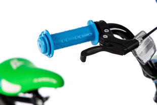 16" Велосипед Alvin Karbon, цвет: синий/зелёный (9335) цена и информация | Велосипеды | kaup24.ee