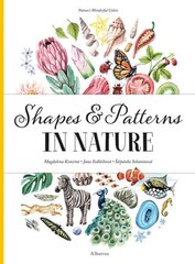 Shapes and Patterns in Nature hind ja info | Väikelaste raamatud | kaup24.ee