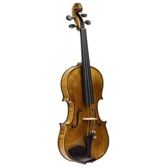 Vhienna VH VO44SOLISTA 4/4 скрипка цена и информация | Скрипки | kaup24.ee