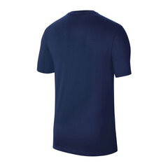 Мужская футболка Nike цена и информация | Мужская спортивная одежда | kaup24.ee