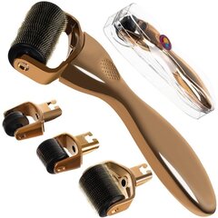 Skin Roller 3in1 hind ja info | Näopuhastus- ja massaažiseadmed | kaup24.ee