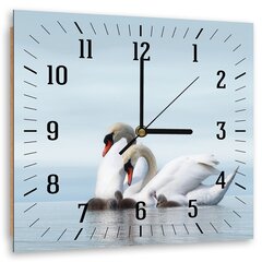 Настенные часы, Семья лебедей, 80x80см цена и информация | Часы | kaup24.ee