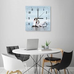 Настенные часы, Семья лебедей, 40x40см цена и информация | Часы | kaup24.ee
