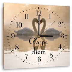 Настенные часы, Лебеди в любви, 60x60см цена и информация | Часы | kaup24.ee