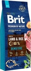 Kuivtoit koertele Brit Premium By Nature lambalihaga, 8kg цена и информация | Сухой корм для собак | kaup24.ee