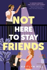 Not Here to Stay Friends hind ja info | Noortekirjandus | kaup24.ee