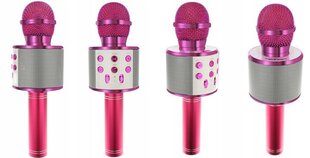 Laste karaokemikrofon kõlariga, roosa цена и информация | Развивающие игрушки | kaup24.ee