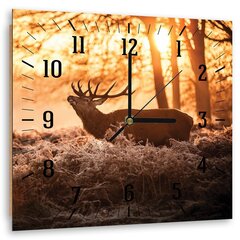 Настенные часы, Олень на солнце, 80x80см цена и информация | Часы | kaup24.ee