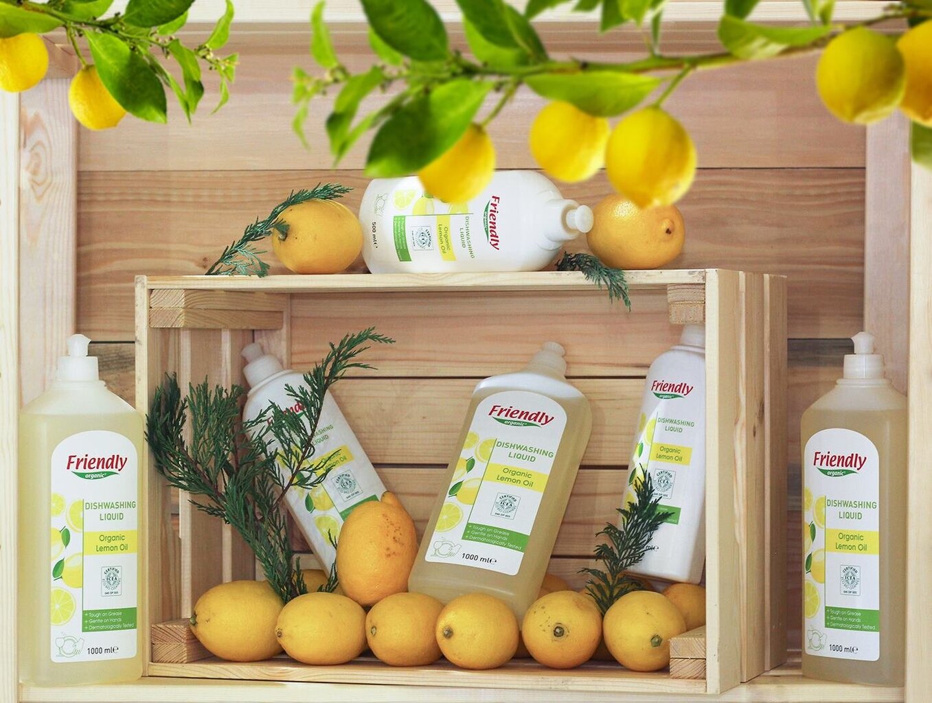 Friendly Organic orgaaniline sidruniõliga nõudepesuvahend, 1000 ml hind ja info | Nõudepesuvahendid | kaup24.ee