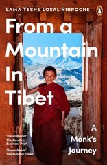 From a Mountain In Tibet: A Monk's Journey цена и информация | Биографии, автобиогафии, мемуары | kaup24.ee