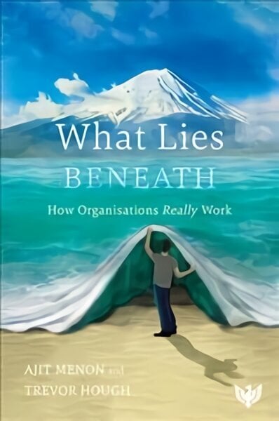What Lies Beneath: How Organisations Really Work hind ja info | Majandusalased raamatud | kaup24.ee