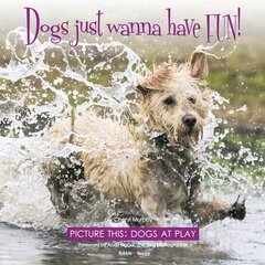 Dogs just wanna have FUN!: Picture this: Dogs at Play цена и информация | Книги по фотографии | kaup24.ee