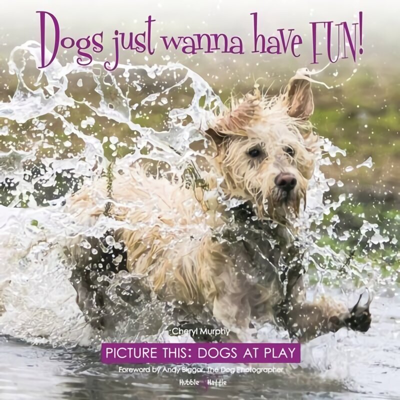 Dogs just wanna have FUN!: Picture this: Dogs at Play hind ja info | Fotograafia raamatud | kaup24.ee