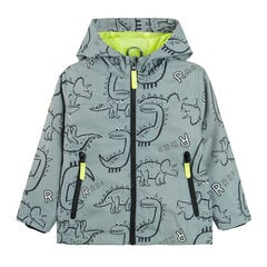 Cool Club куртка для мальчиков, COB2413003 цена и информация | Куртки для мальчиков | kaup24.ee
