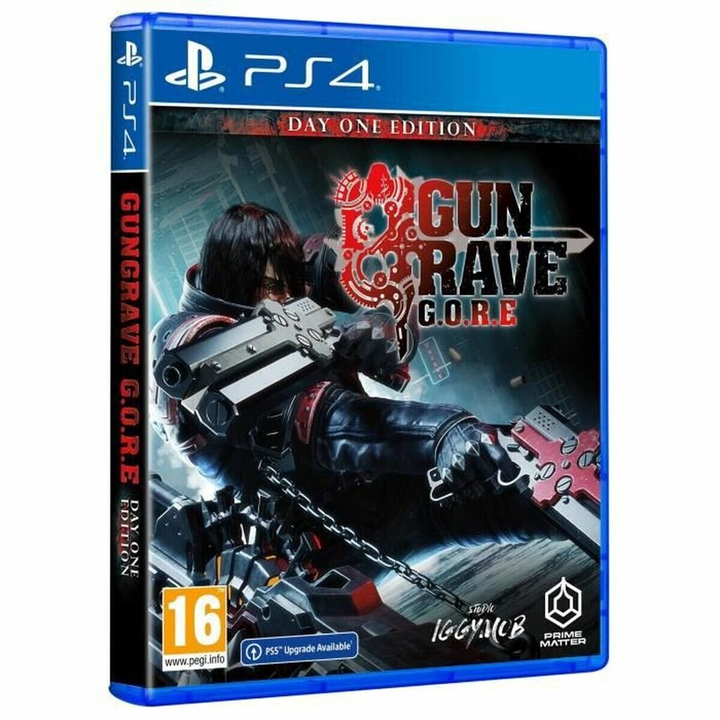 PlayStation 4 videomäng KOCH MEDIA Gun Grave Gore цена и информация | Arvutimängud, konsoolimängud | kaup24.ee