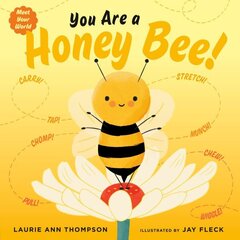 You Are a Honey Bee! hind ja info | Väikelaste raamatud | kaup24.ee