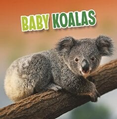 Baby Koalas цена и информация | Книги для подростков и молодежи | kaup24.ee