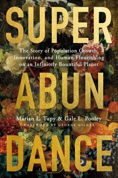 Superabundance: The Story of Population Growth, Innovation, and Human Flourishing on an Infinitely Bountiful Planet hind ja info | Majandusalased raamatud | kaup24.ee