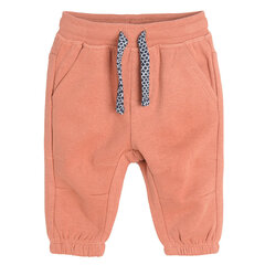 Cool Club спортивные штаны для мальчиков, 2 шт., CCB2501335-00 цена и информация | Штаны для мальчика Nini | kaup24.ee