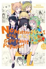 No Matter How I Look at It, It's You Guys' Fault I'm Not Popular!, Vol. 13 hind ja info | Fantaasia, müstika | kaup24.ee