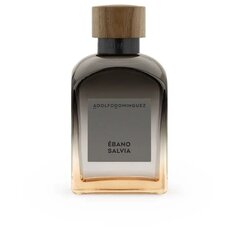 Мужская парфюмерия Adolfo Dominguez Ébano Salvia EDP, 120 мл цена и информация | Мужские духи | kaup24.ee