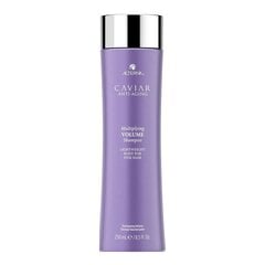 Volüümiandev šampoon Caviar Multiplying Volume Alterna (250 ml) цена и информация | Шампуни | kaup24.ee