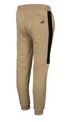 Спортивные штаны для мальчиков 4F светло-коричневый HJZ22 JSPMD002 82S цена и информация | Шорты для мальчиков | kaup24.ee