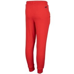 Poiste püksid 4F Jr HJZ22-JSPMD001 62S, punane hind ja info | Poiste püksid | kaup24.ee
