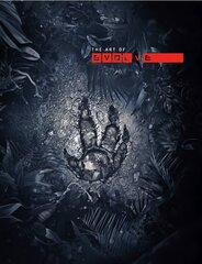 Art of Evolve цена и информация | Книги об искусстве | kaup24.ee