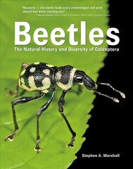 Beetles: The Natural History and Diversity of Coleoptera 2018 цена и информация | Книги о питании и здоровом образе жизни | kaup24.ee