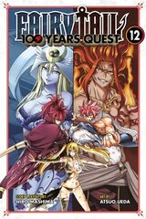 FAIRY TAIL: 100 Years Quest 12 hind ja info | Fantaasia, müstika | kaup24.ee