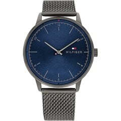 Meeste Kell Tommy Hilfiger 1791878 цена и информация | Мужские часы | kaup24.ee