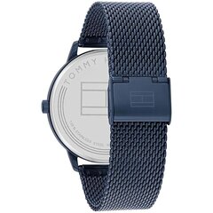 Мужские часы Tommy Hilfiger 1791841 12141470 цена и информация | Мужские часы | kaup24.ee