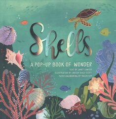 Shells: A Pop-Up Book of Wonder hind ja info | Väikelaste raamatud | kaup24.ee